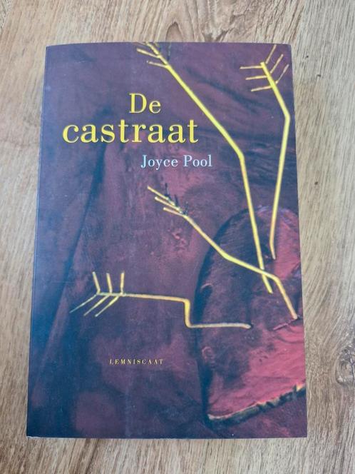 Joyce Pool - De castraat, Boeken, Kinderboeken | Jeugd | 13 jaar en ouder, Zo goed als nieuw, Ophalen of Verzenden