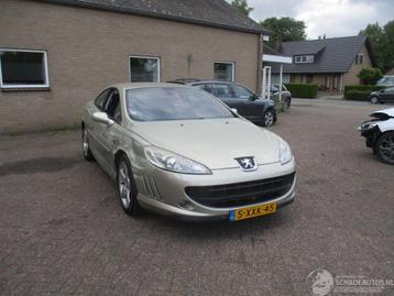 Peugeot 407 2.2-16v Reference (bj 2006) beschikbaar voor biedingen