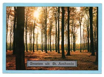 Groeten uit St. Anthonis (fantasie bosgezicht) beschikbaar voor biedingen