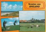 AMELAND Duin Strand Zee Beelden Koeien Molen Groeten, Gelopen, Waddeneilanden, Verzenden, 1980 tot heden