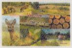 Ansichtkaart	Veluwe	3D kaart	2x7 luik, Verzenden, 1980 tot heden, Gelopen, Gelderland
