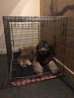 Grote hondenbench, Dieren en Toebehoren, Hondenbenches, Ophalen, Gebruikt