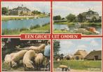 OMMEN Gemeentehuis Markt Hotel Boerderij, Verzamelen, Ansichtkaarten | Nederland, Verzenden, 1980 tot heden, Ongelopen, Overijssel