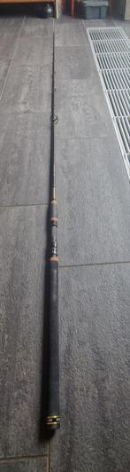 Penn Regiment II Spinhengel 150g, Watersport en Boten, Ophalen of Verzenden, Gebruikt, Werphengel