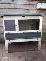 Konijnenhok, Vrouwelijk, Groot, 3 tot 5 jaar