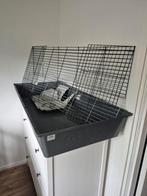 Caviahok, Kooi, 110 cm of meer, Zo goed als nieuw, Cavia