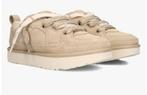 Nieuwe uggs lowmel mt 39, Kleding | Dames, Schoenen, Ophalen, Nieuw, Beige