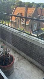 Gezocht: schoonmaakhulp Den Haag  / Seeking cleaning person, Starter, Overige niveaus, Geschikt als bijbaan, Freelance of Uitzendbasis