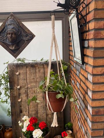 “Handgemaakte macramé plantenhanger – Boho decor / Crème beschikbaar voor biedingen
