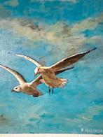 Zilvermeeuwen, Ophalen