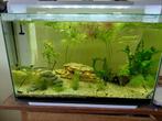 Aqarium, Dieren en Toebehoren, Vissen | Aquaria en Toebehoren, Ophalen, Zo goed als nieuw, Gevuld zoetwateraquarium