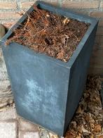 Hoge Bloembak - 1 meter, 25 tot 40 cm, Gebruikt, Binnen, Ophalen of Verzenden