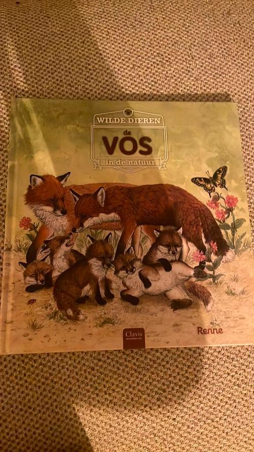 Renne - De vos, Boeken, Kinderboeken | Jeugd | onder 10 jaar, Zo goed als nieuw, Ophalen of Verzenden