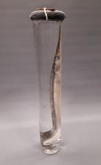 Taxidermie sterkwater vis geep, Ophalen of Verzenden, Gebruikt, Overige soorten, Opgezet dier