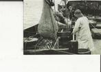 Scheveningen Mooie kuil vis met de trawler Foto, Ophalen of Verzenden, Ongelopen, Zuid-Holland
