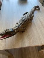 Kaaiman opgezet., Verzamelen, Ophalen of Verzenden, Gebruikt, Reptiel of Amfibie, Opgezet dier