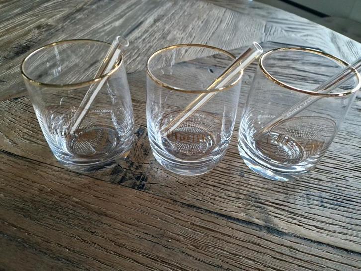riviera maison gin en tonic glas glazen, Verzamelen, Glas en Borrelglaasjes, Zo goed als nieuw, Overige typen, Ophalen of Verzenden