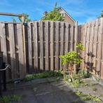 8x tuin schuttingen 2x halve en een poort, Tuin en Terras, Schuttingen, Ophalen of Verzenden, Gebruikt, Minder dan 3 meter