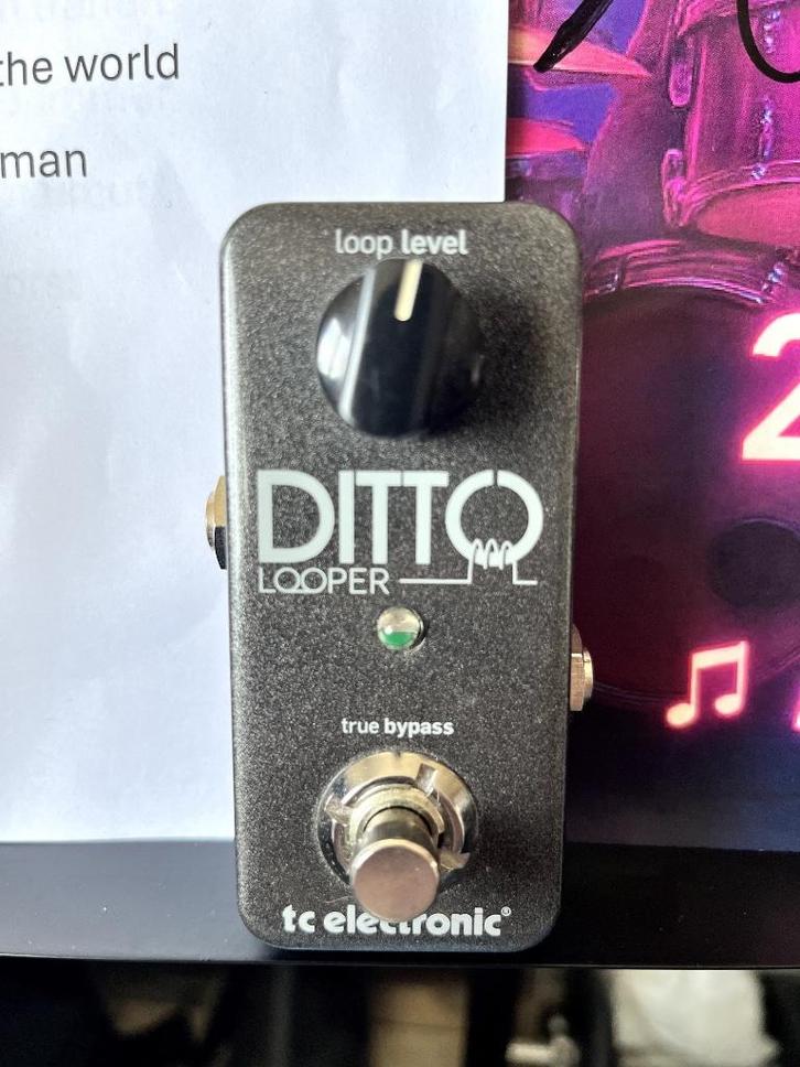 TC Electronic Ditto Looper, Muziek en Instrumenten, Effecten, Zo goed als nieuw, Overige typen, Ophalen of Verzenden