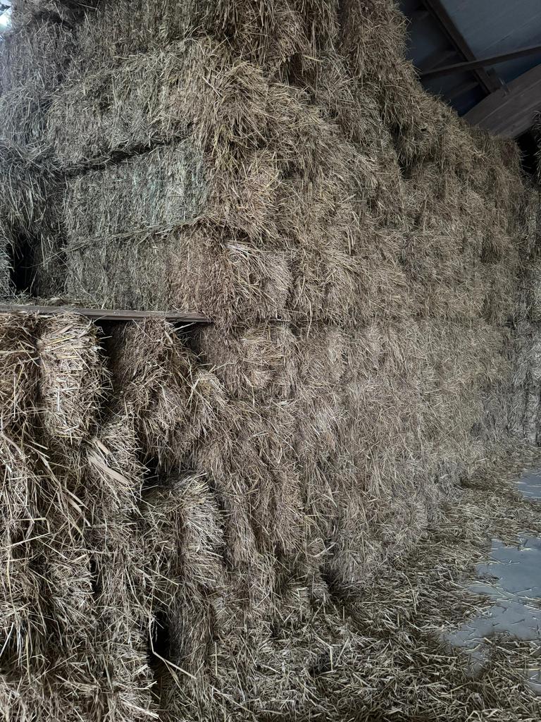 Te koop mooi paardenhooi, Ophalen of Verzenden, Vee
