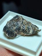 ZELDZAAM SONOLIET, JAPAN (=TL), Ophalen of Verzenden, Mineraal