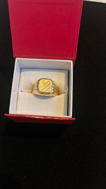 Gouden Heren Zegelring 14K beschikbaar voor biedingen
