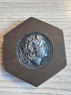 Bronzen plaat met zilver, Ophalen of Verzenden