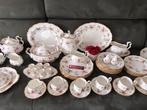 Royal albert TENDERNESS  ⭐️🌹⭐️🌹⭐️, Ophalen, Zo goed als nieuw, Overige stijlen, Kop(pen) en/of Schotel(s)