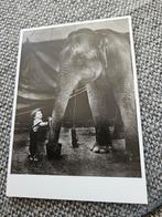 Circus olifant met jongetje, Ophalen of Verzenden, Voor 1920, Kinderen