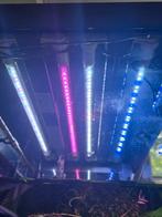 Complete Sera Led verlichtingset voor Lido 200, Ophalen, Gebruikt, Verlichting of Verwarming
