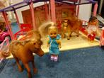Speelgoeddoos vol met Popjes, Paarden & Manege, Ophalen of Verzenden, Gebruikt