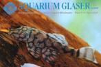 L-Nummers: L519 Ancistrus sp., Vis, Zoetwatervis