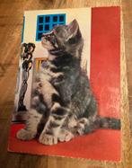 Schattig grijs katje kijkt omhoog, Verzenden, 1980 tot heden, Ongelopen, Hond of Kat