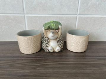 2 kleine plantenpotjes met leuke egel beschikbaar voor biedingen