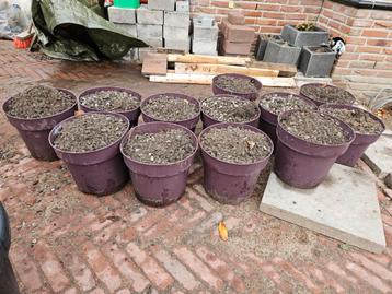 Grind in gratis af te halen. beschikbaar voor biedingen