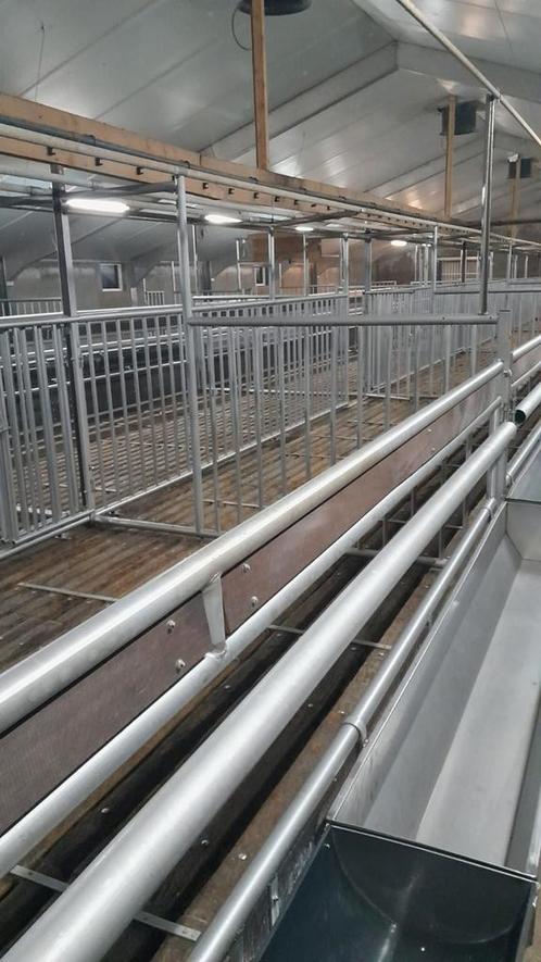 Kalverstal agrarisch, Dieren en Toebehoren, Stalling en Weidegang