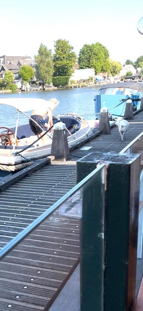 Interboat 19, Watersport en Boten, Sloepen, Gebruikt, 30 tot 50 pk, 6 meter of meer, Binnenboordmotor, Diesel, Polyester, Ophalen