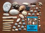 54x SCHELP uit de SHELL uitgave Schelpen uit de Wereldzeeën, Verzamelen, Ophalen of Verzenden, Schelp(en)