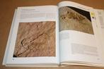 Boek. De grote encyclopedie der fossielen., Verzamelen, Mineralen en Fossielen, Ophalen of Verzenden, Fossiel