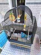 te koop vogelkooi, Ophalen, Zo goed als nieuw, Metaal, Vogelkooi