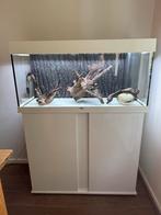 Juwel 180 rio met toebehoren, Ophalen, Zo goed als nieuw, Leeg aquarium