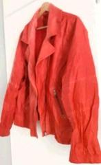 X-two jasje maat xl, Ophalen of Verzenden, Zo goed als nieuw, Maat 46/48 (XL) of groter