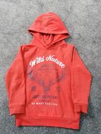 Mooie sweater van name it mt 116, Ophalen of Verzenden, Zo goed als nieuw, Meisje, Trui of Vest