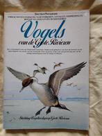 Vogels van de Grote Rivieren - Natuurgids, Boeken, Ophalen of Verzenden, Gelezen, Vogels, Stichting Vogelwerkgroep Grote Rivieren