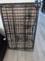 Honden beach, Ophalen of Verzenden, Nieuw, 110 cm of meer, Minder dan 65 cm