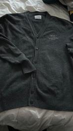 Replay  vest maat XL, Maat 56/58 (XL), Ophalen of Verzenden, Grijs, Gedragen