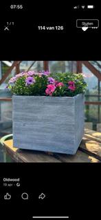 Bloembak Plantenbak, Tuin en Terras, Vierkant, Nieuw, Ophalen of Verzenden, Balkon