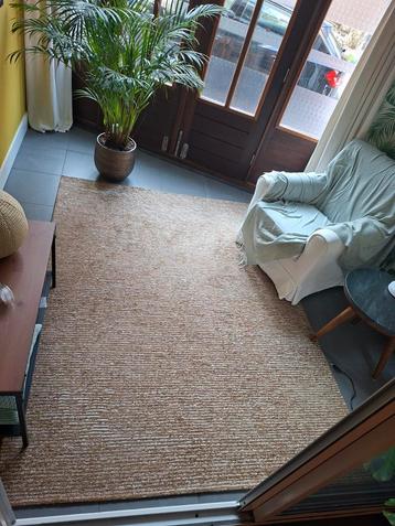 Acsento Bolzano Bronze Vloerkleed 170x230 beschikbaar voor biedingen