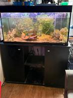 BIEDEN    Draaiend aquarium met kast en  vis 1 meter bak, Dieren en Toebehoren, Vissen | Aquaria en Toebehoren, Ophalen, Gebruikt
