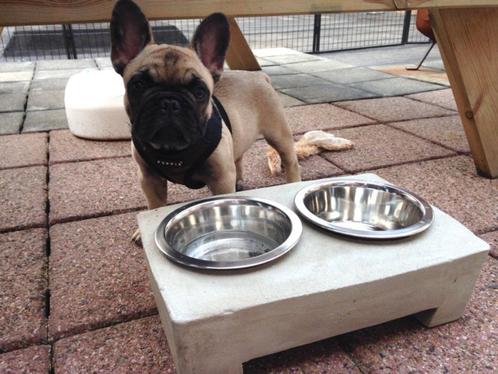 Strakke dubbele drinkbak, voerbak hond, kat of mini varken., Dieren en Toebehoren, Hondenvoerbakken en Drinkbakken, Nieuw, Ophalen of Verzenden